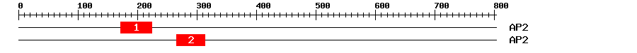 Signature Domain