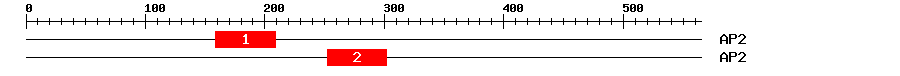Signature Domain