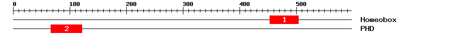 Signature Domain
