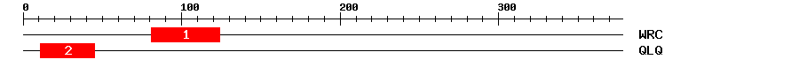 Signature Domain