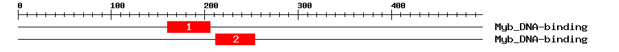 Signature Domain