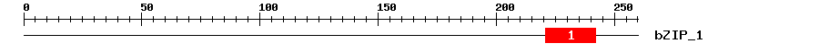 Signature Domain