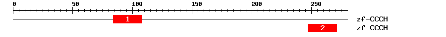 Signature Domain