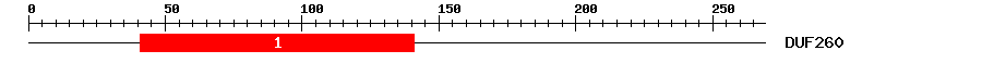 Signature Domain