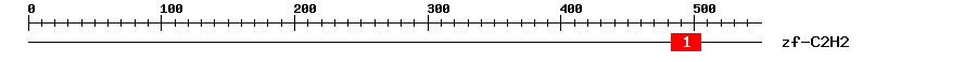 Signature Domain