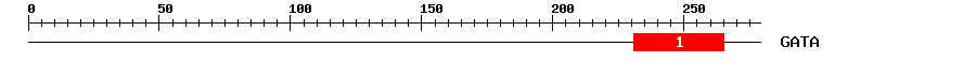 Signature Domain