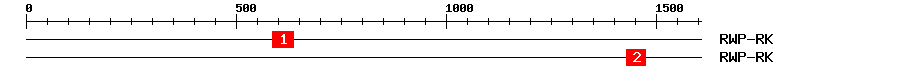 Signature Domain