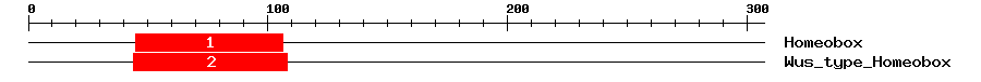 Signature Domain