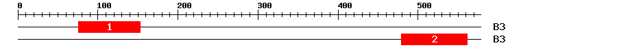Signature Domain