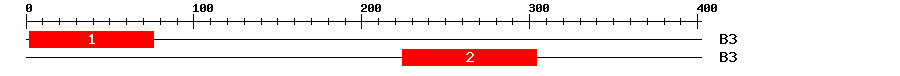 Signature Domain