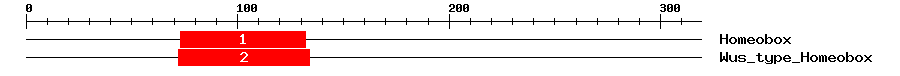 Signature Domain