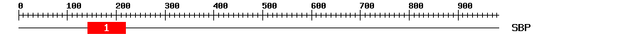 Signature Domain