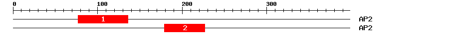 Signature Domain