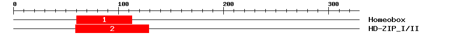 Signature Domain