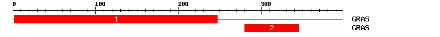 Signature Domain