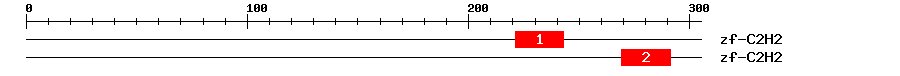 Signature Domain