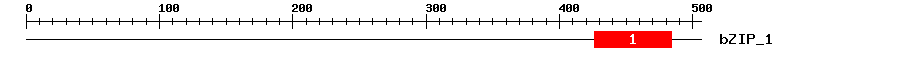 Signature Domain