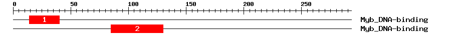 Signature Domain