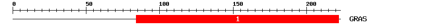 Signature Domain
