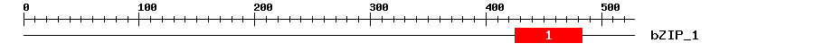 Signature Domain