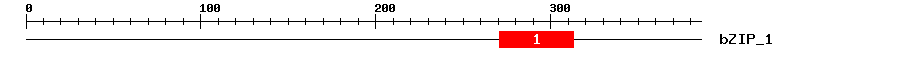 Signature Domain
