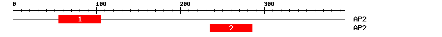 Signature Domain