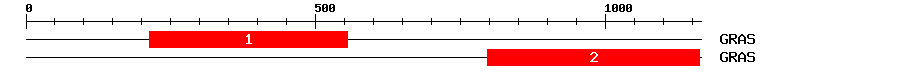 Signature Domain