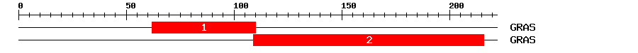 Signature Domain