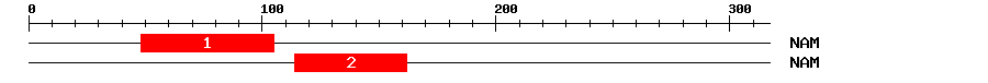 Signature Domain