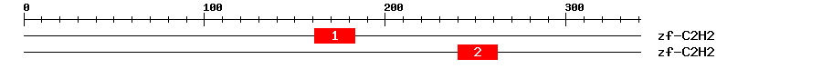 Signature Domain