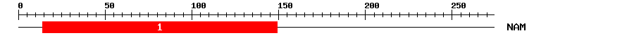 Signature Domain