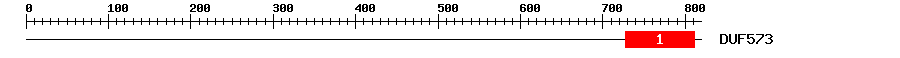 Signature Domain