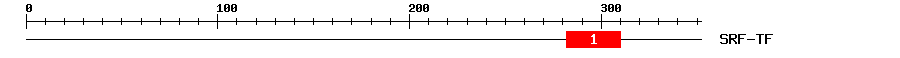 Signature Domain