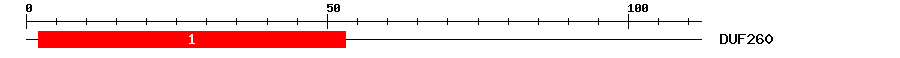 Signature Domain