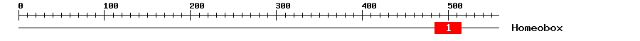 Signature Domain