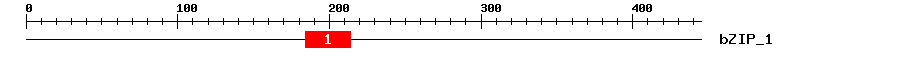 Signature Domain