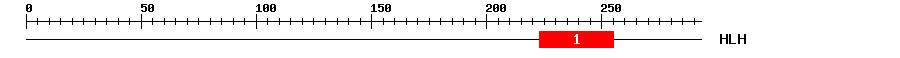 Signature Domain