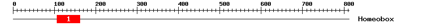 Signature Domain