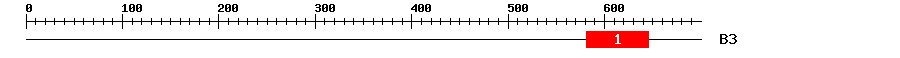 Signature Domain