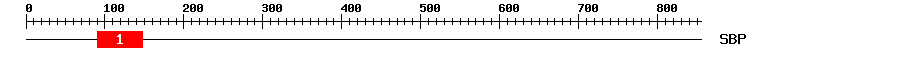Signature Domain