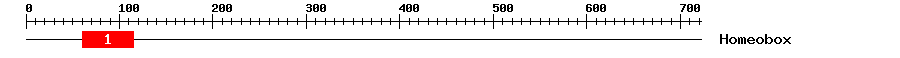 Signature Domain