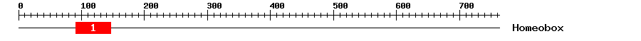 Signature Domain