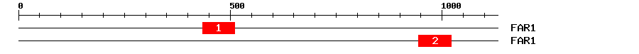 Signature Domain