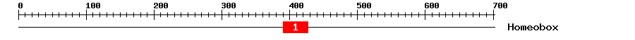 Signature Domain
