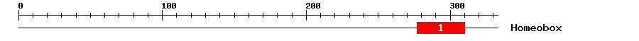 Signature Domain