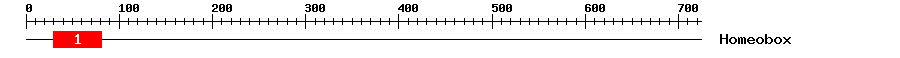 Signature Domain