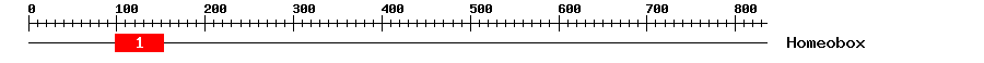 Signature Domain
