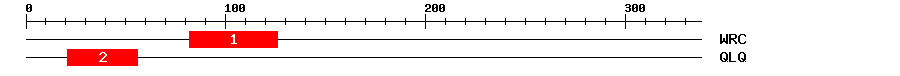 Signature Domain