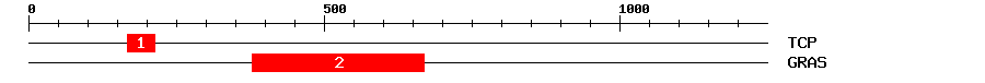 Signature Domain