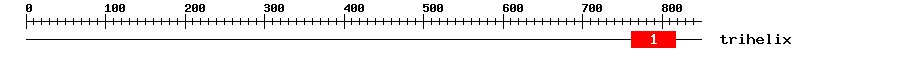 Signature Domain